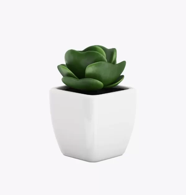 product-image-9_optimized Sollicitudin Aliquam